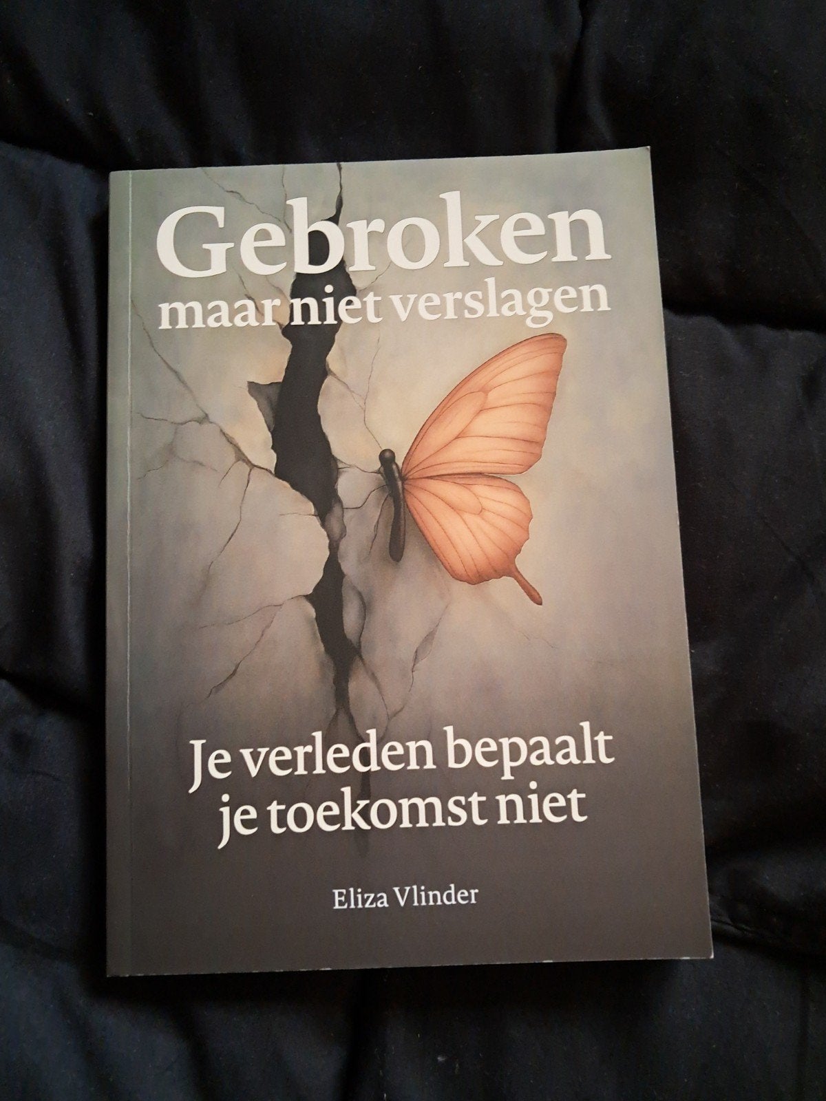 Gebroken maar niet verslagen - Eliza Vlinder, Ophalen of Verzenden, Zo goed als nieuw, Eliza Vlinder