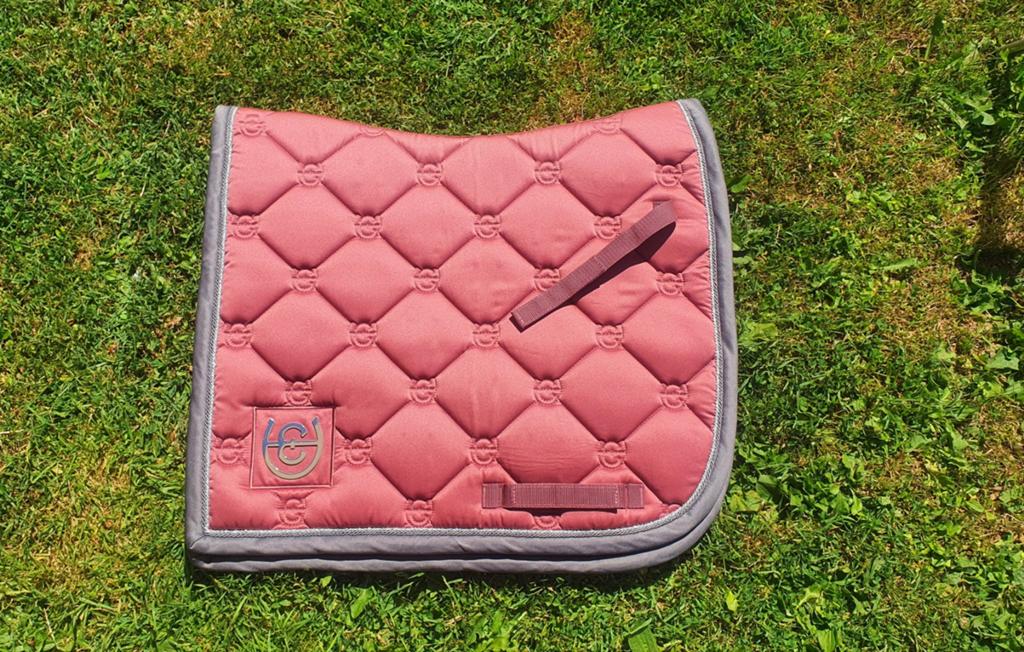 Equestrian stockholm rose breeze, Ophalen of Verzenden