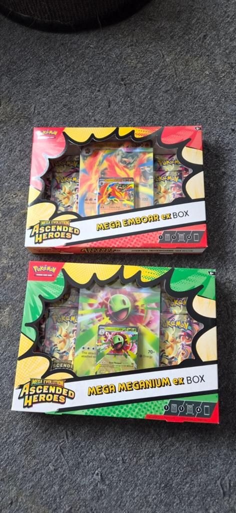 Pokémon Mega Emboar & Meganium EX Boxen - Ascended Heroes, Hobby en Vrije tijd, Verzamelkaartspellen | Pokémon, Ophalen, Nieuw