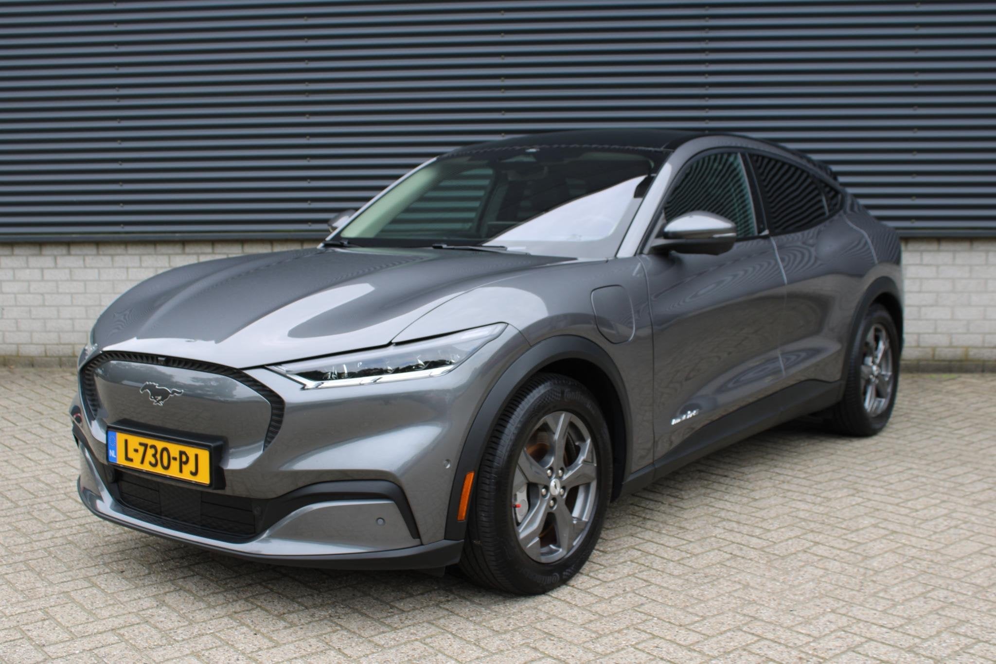 Ford Mustang Mach-E RWD 75 kWh I SOH 94% I Navigatie, Auto's, Automaat, Gebruikt, 750 kg, 258 pk