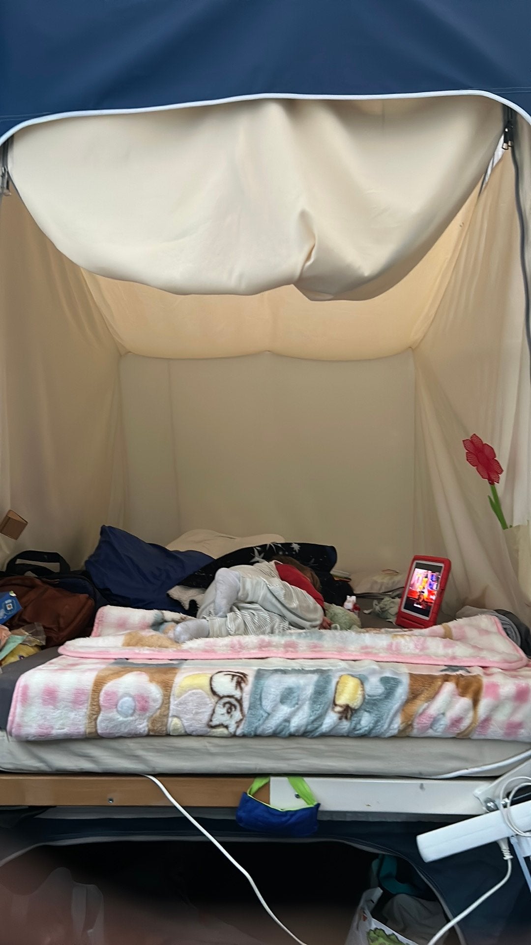 slaapcabine gerjak tago settler, Ophalen, Gebruikt