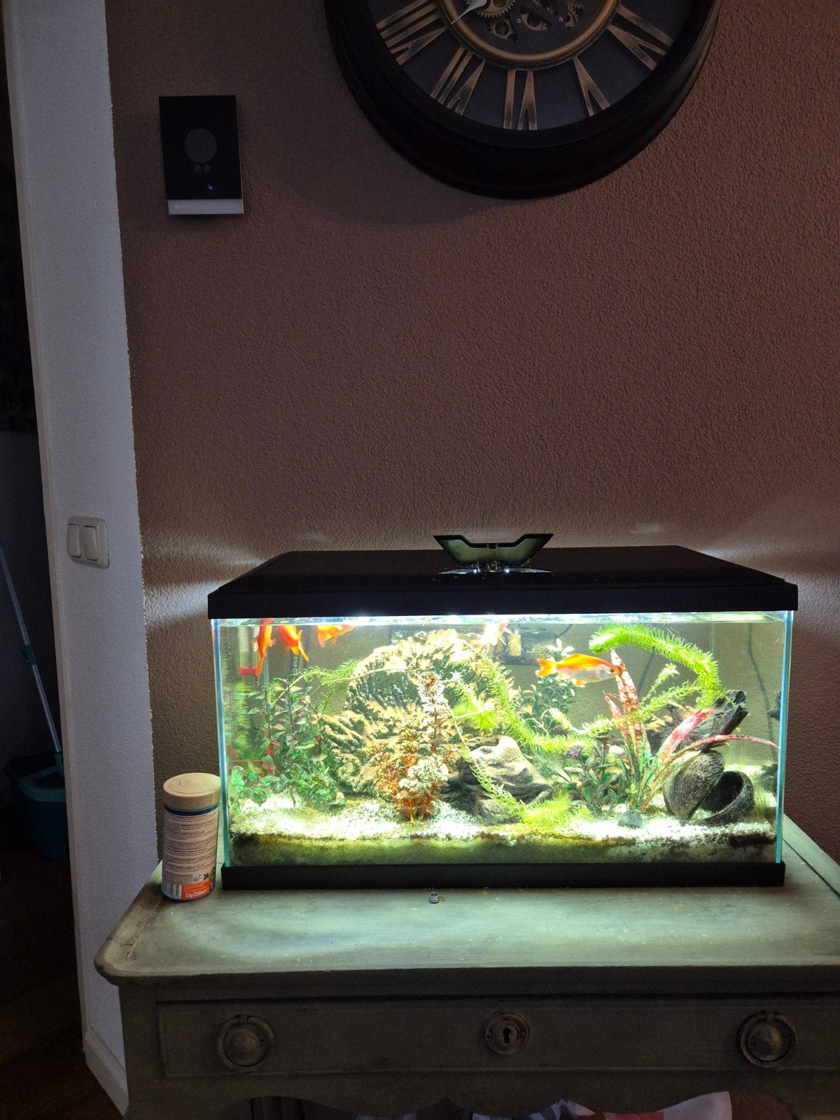 gratis mooi aqarium met goudvissen, Dieren en Toebehoren, Vissen | Aquaria en Toebehoren, Ophalen of Verzenden