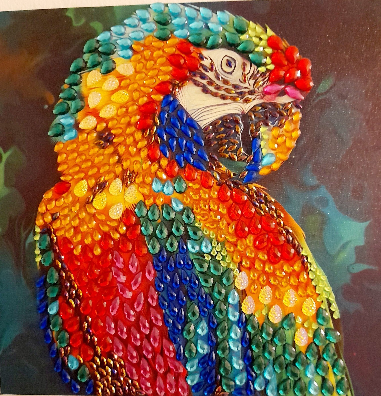 Diamond Painting: Ara Papegaai & Roos op Canvas, Ophalen of Verzenden, Nieuw, Schilderij