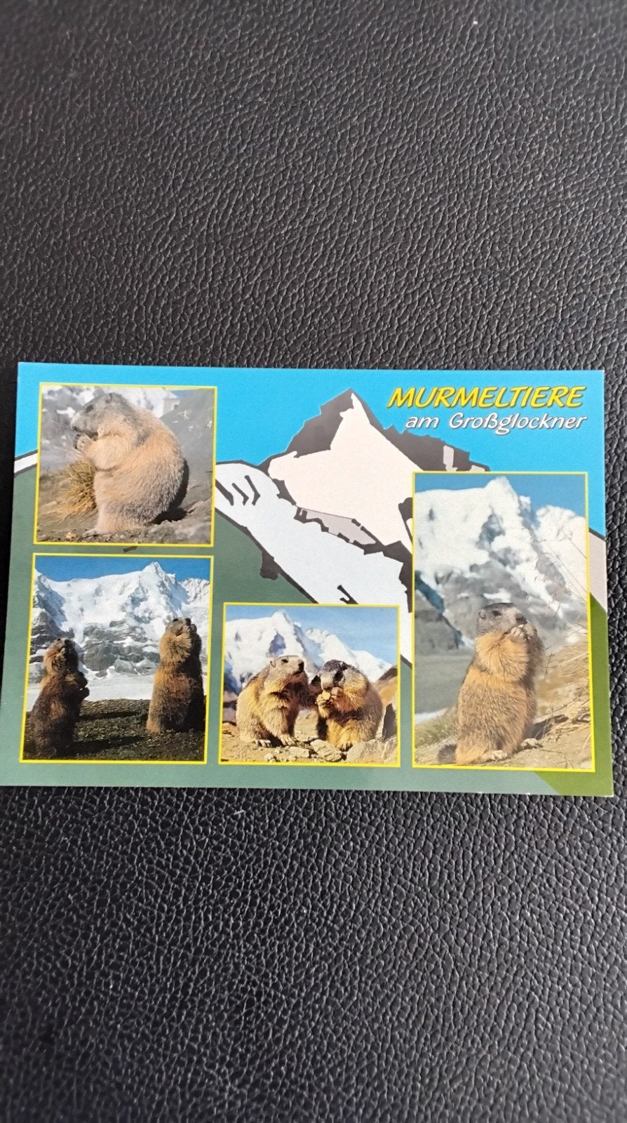 Ansichtkaart Murmeltiere am Großglockner Oostenrijk, Ophalen of Verzenden, 1980 tot heden, Ongelopen, Oostenrijk