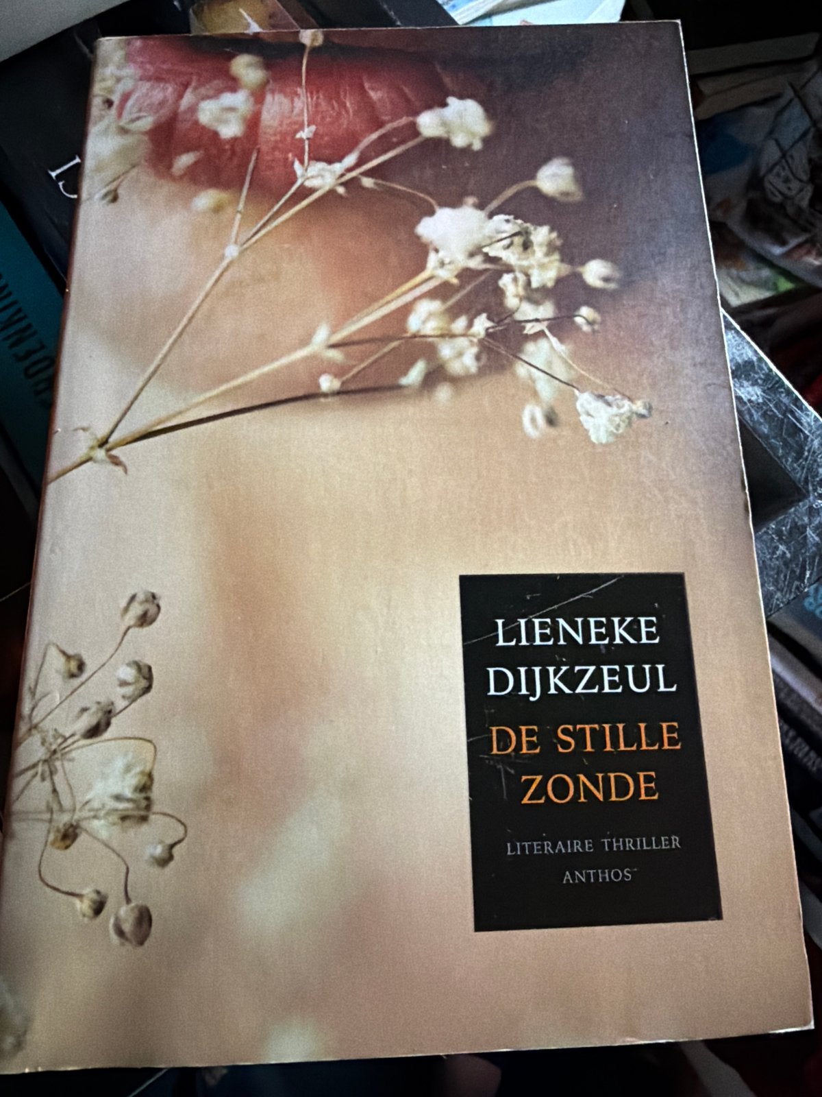 Z1.  Lieneke Dijkzeul - De Stille Zonde (Literaire Thriller), Ophalen of Verzenden, Gelezen, Nederland