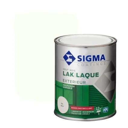 Sigma exterieur RAL9010 hoogglans (6x), Ophalen, Wit, Nieuw, Lak