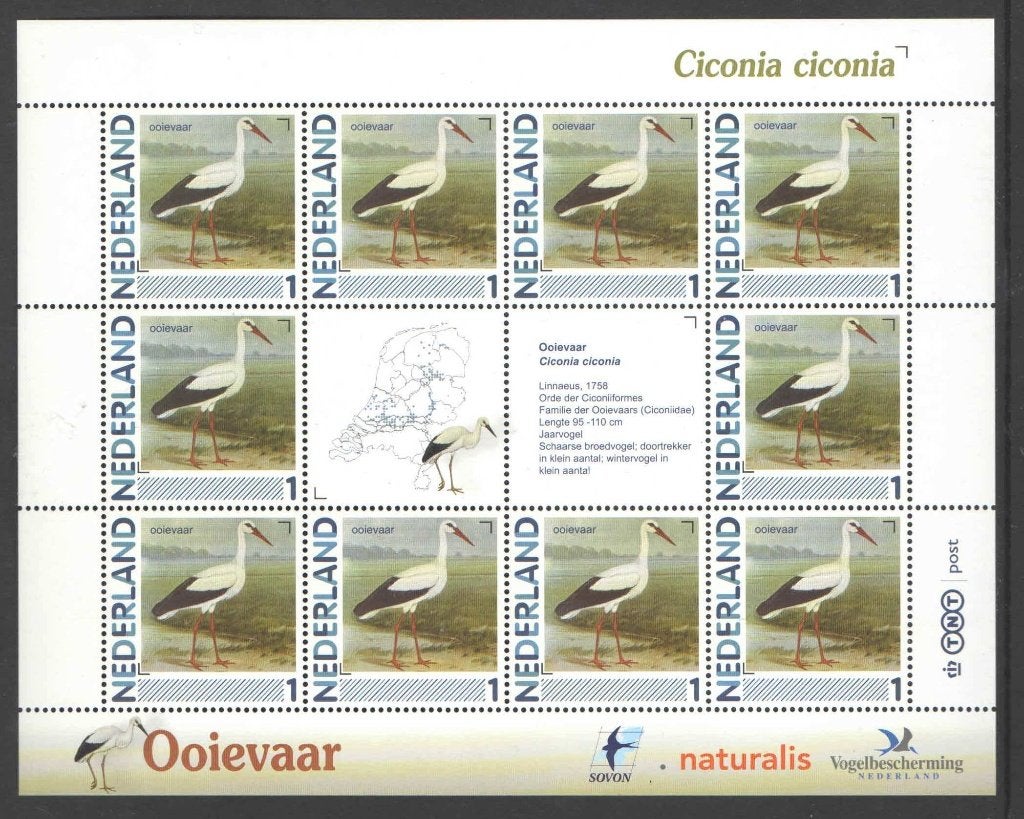 Postzegels Vogels in Nederland: Ooievaar, Postzegels en Munten, Postzegels | Nederland, Ophalen of Verzenden, Na 1940, Postfris