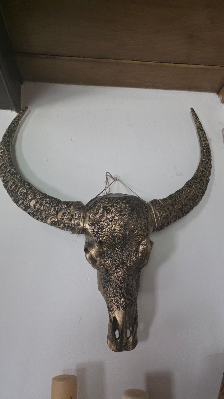 Grote gedetailleerde replica schedel met hoorns, Ophalen, Gebruikt, Overige stijlen, Kunststof