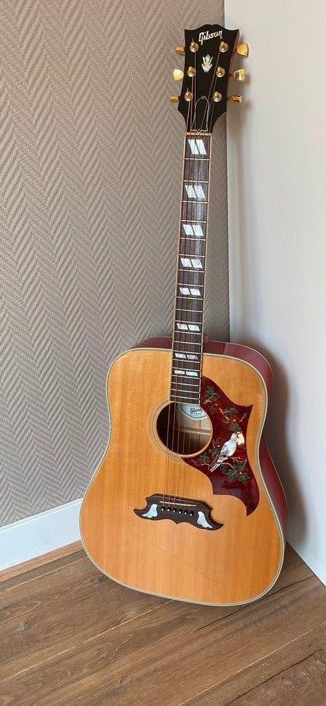 Gibson Dove , Bozeman Montana & case 2011 zganwst.