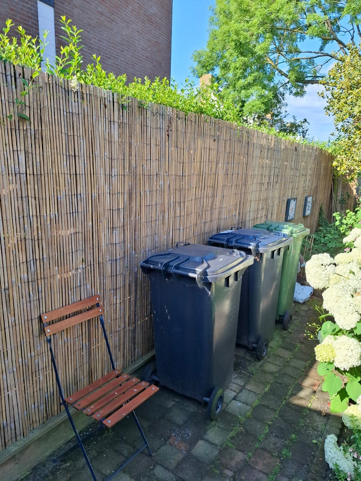 Bamboe tuinschermen - 3 rollen, Tuin en Terras, Ophalen, Hout, 6 meter of meer, 1 tot 2 meter