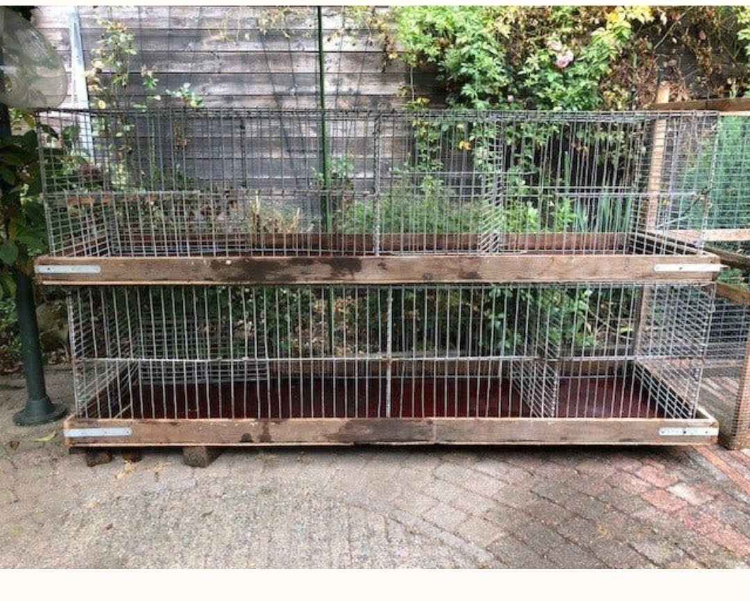 gezocht TT klap kooien  friesland, Dieren en Toebehoren, Ophalen of Verzenden