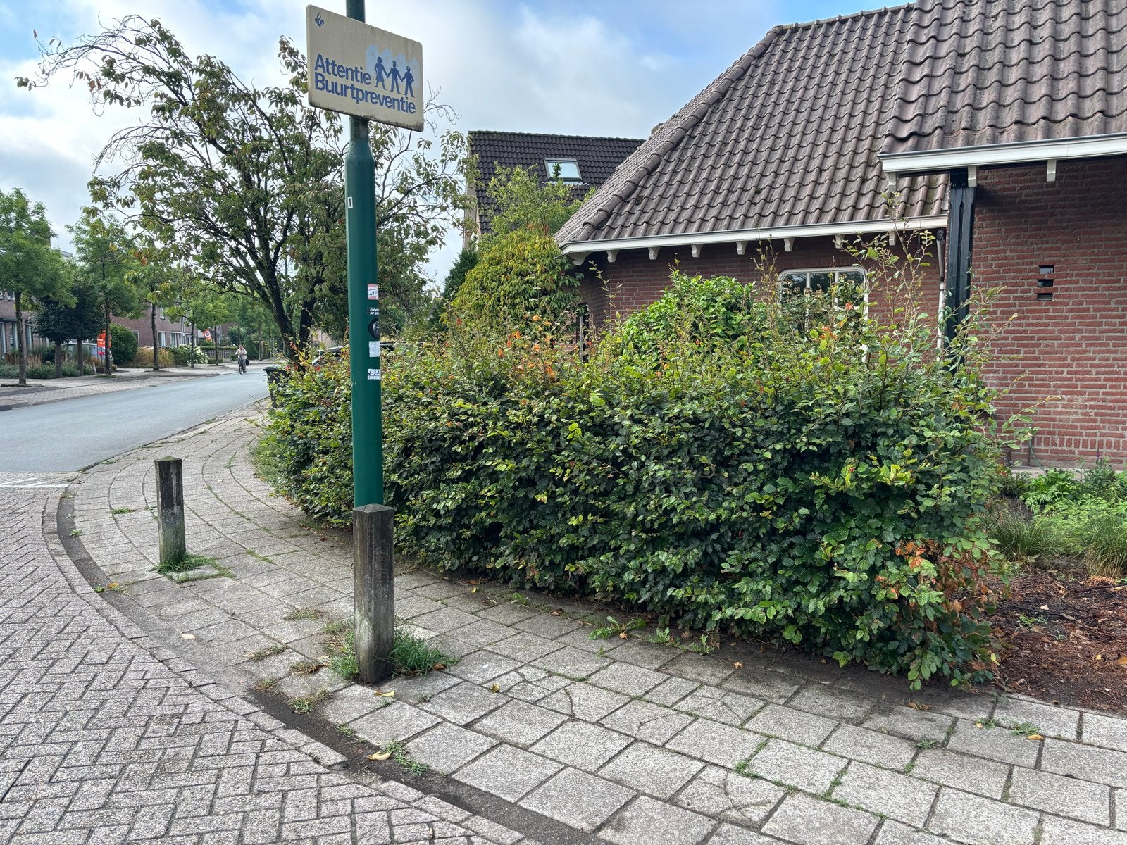 12 meter Beukenhaag - Gratis, Vaste plant, Bloeit niet, Halfschaduw, Ophalen