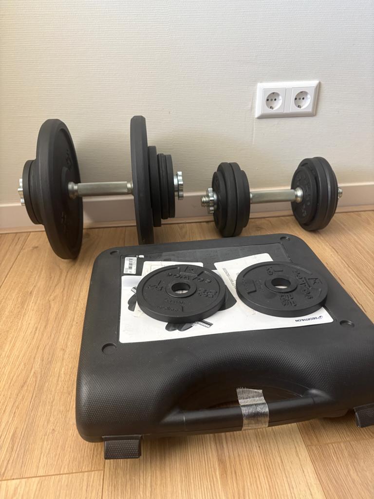 2x Dumbbels totaal 43.5kg, Sport en Fitness, Fitnessmaterialen, Ophalen, Zo goed als nieuw, Dumbbell