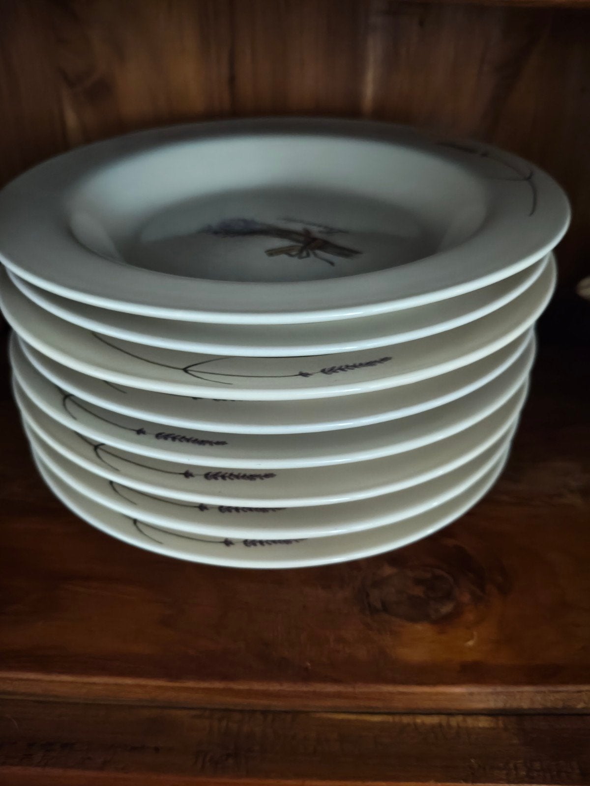 Uitgebreid Jet by Ter Steege Lavender Servies, Ophalen, Gebruikt, Keramiek, Landelijk/Boerenbont