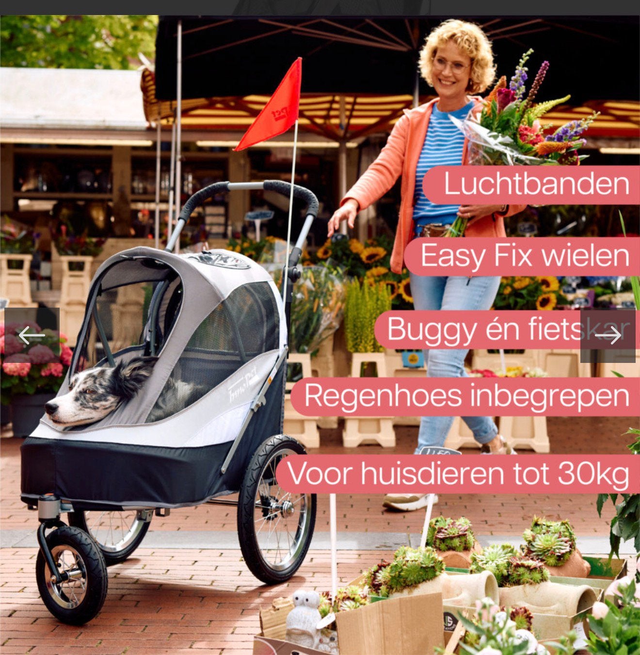 Nieuw Innopet Sporty dog Trailer Super Sale van 349 voor 290, Innopet, Ophalen, Nieuw, Hondenfietskar