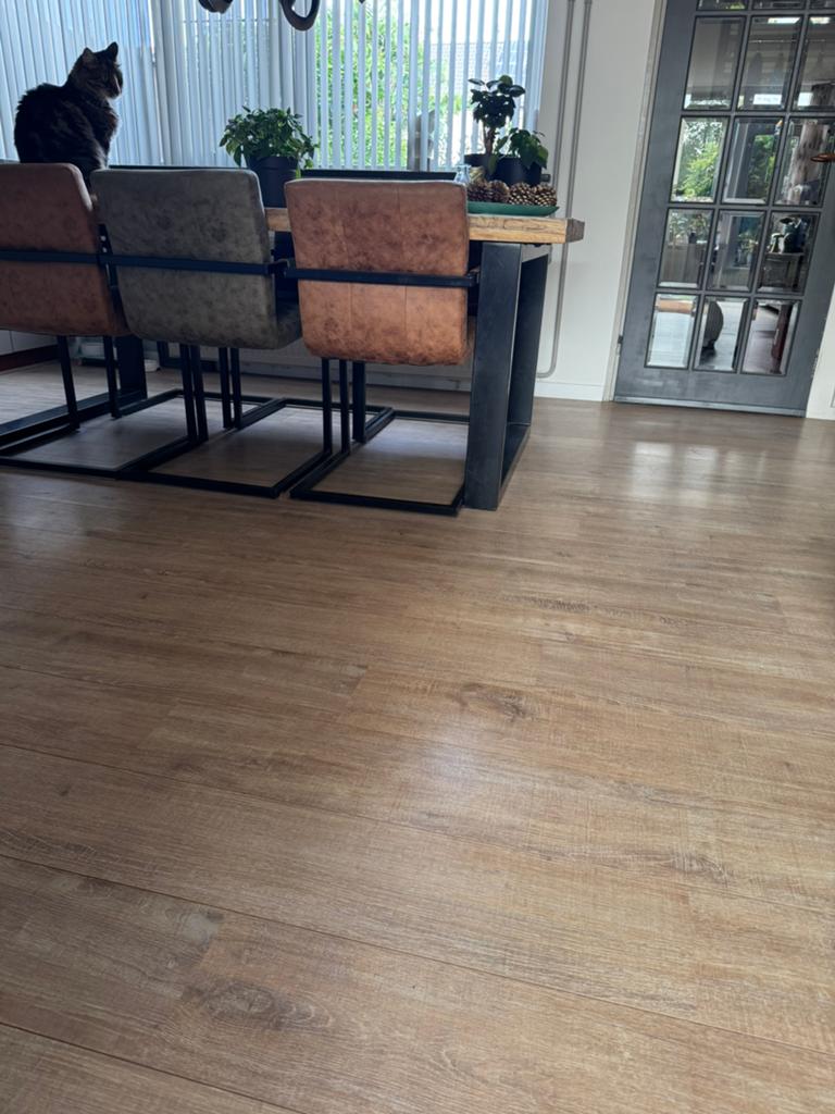 Licht grijs eiken laminaat, Grijs, Ophalen of Verzenden, Zo goed als nieuw, 25 tot 50 m²