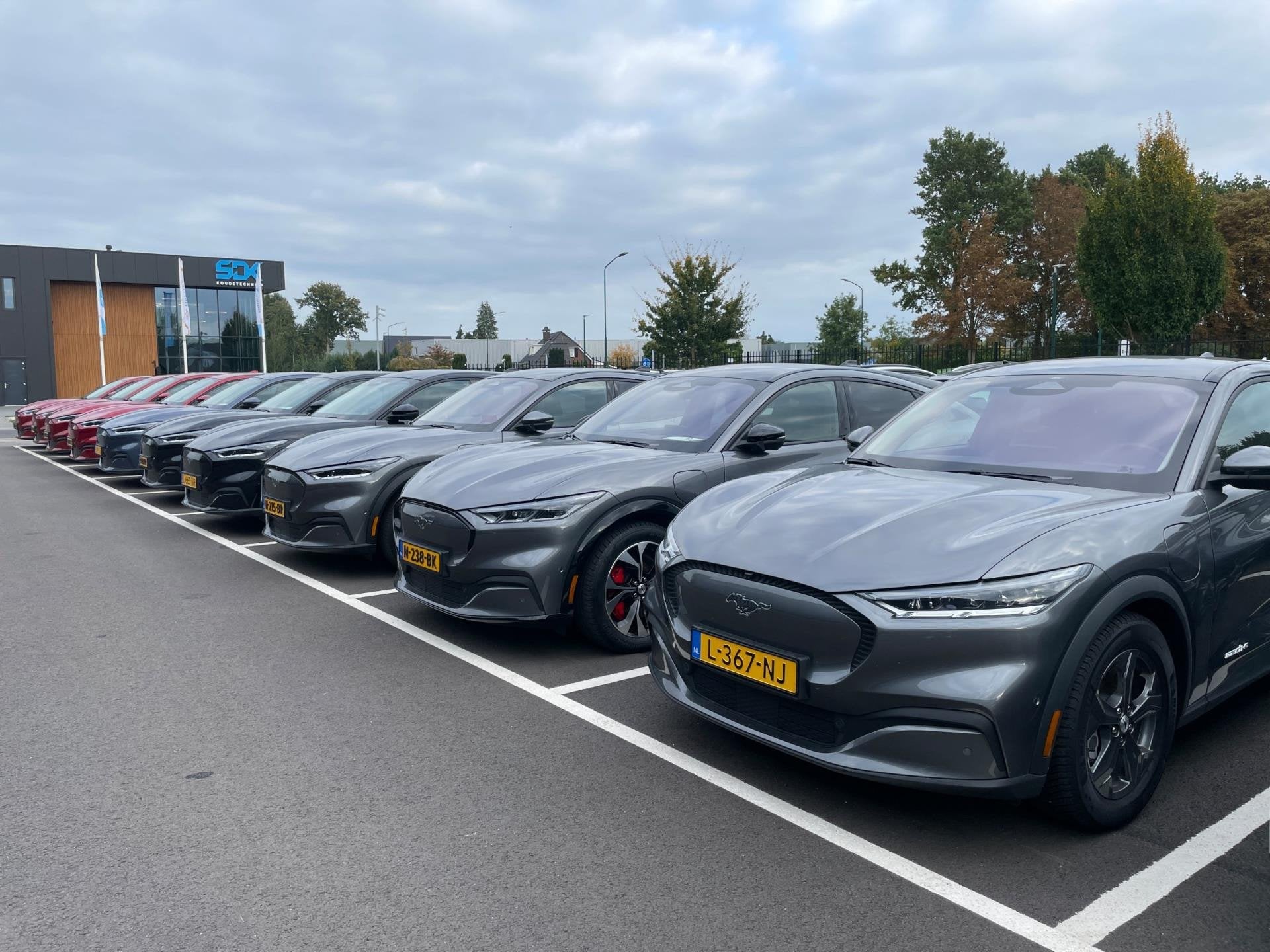 Ford Mustang Mach-E Extended RWD 98 kWh|96% SOH|AFN.TREKHAAK, Auto's, Dealer onderhouden, Gebruikt, Zwart, Automatische klimaatregeling