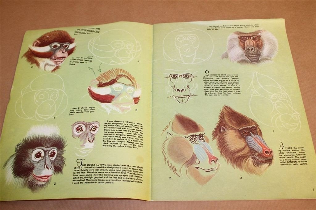 How to Draw and Paint Animal Expressions — Vintage, ca. 1950, Ophalen of Verzenden, Gelezen, Overige onderwerpen