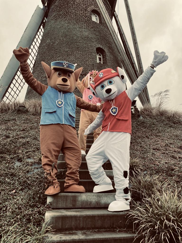 Paw Patrol Mascotte Kostuums - Chase, Marshall, Skye, Ophalen, Zo goed als nieuw, Pak of Jurk