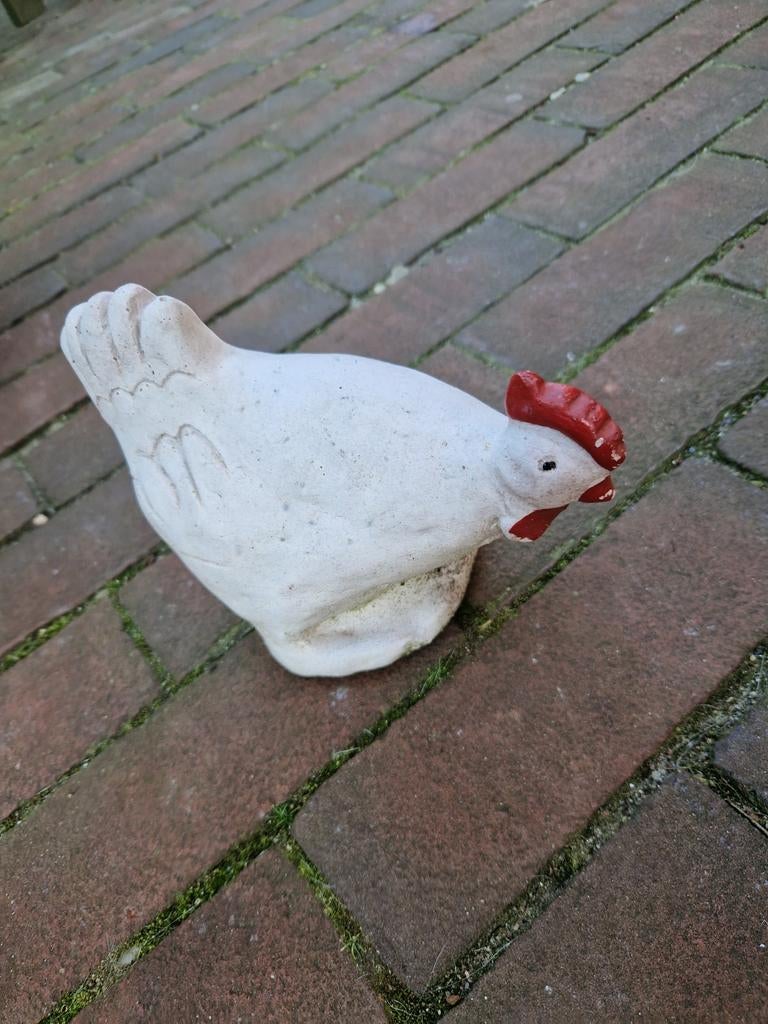 BETONNEN KIP, Tuin en Terras, Tuinbeelden, Ophalen of Verzenden