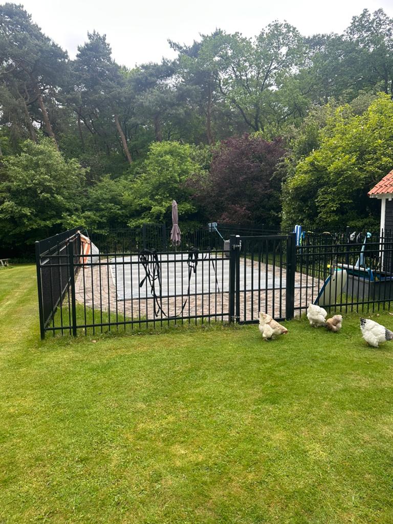 Hek te koop, Tuin en Terras, Tuinhekken en Hekwerk, Zo goed als nieuw, Spijlenhekwerk, IJzer, Met poort, Ophalen