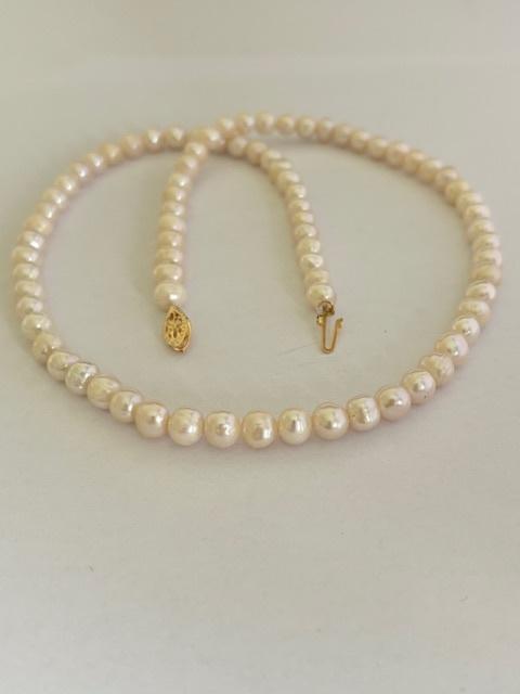 Parel Ketting Akoya Parels 5/6mm 14K Goud Minimalistisch, Ophalen of Verzenden, Nieuw, Wit, Goud