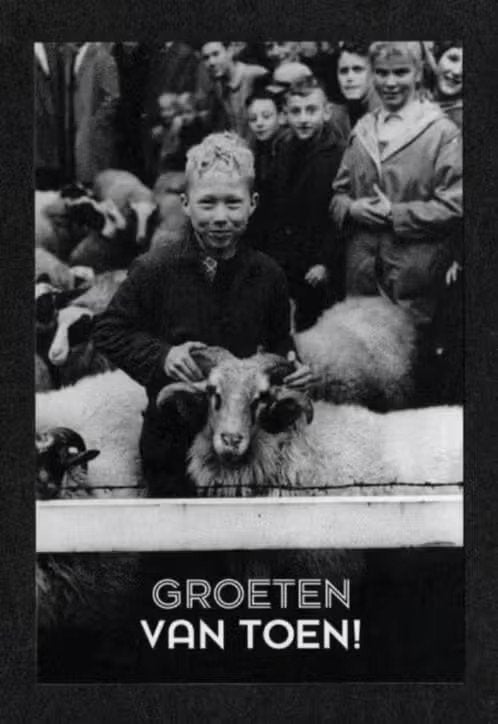 Exloo Schaapskudde., Ophalen of Verzenden, 1980 tot heden, Ongelopen, Drenthe