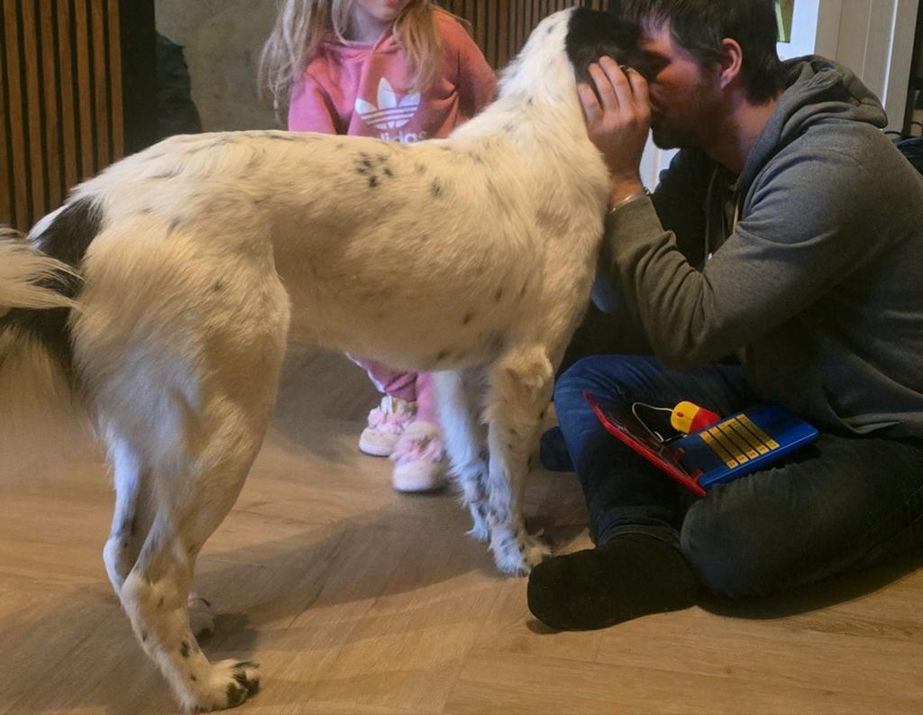 Lieve Luna ter adoptie, 1 tot 2 jaar, Teef, Eén hond, Nederland