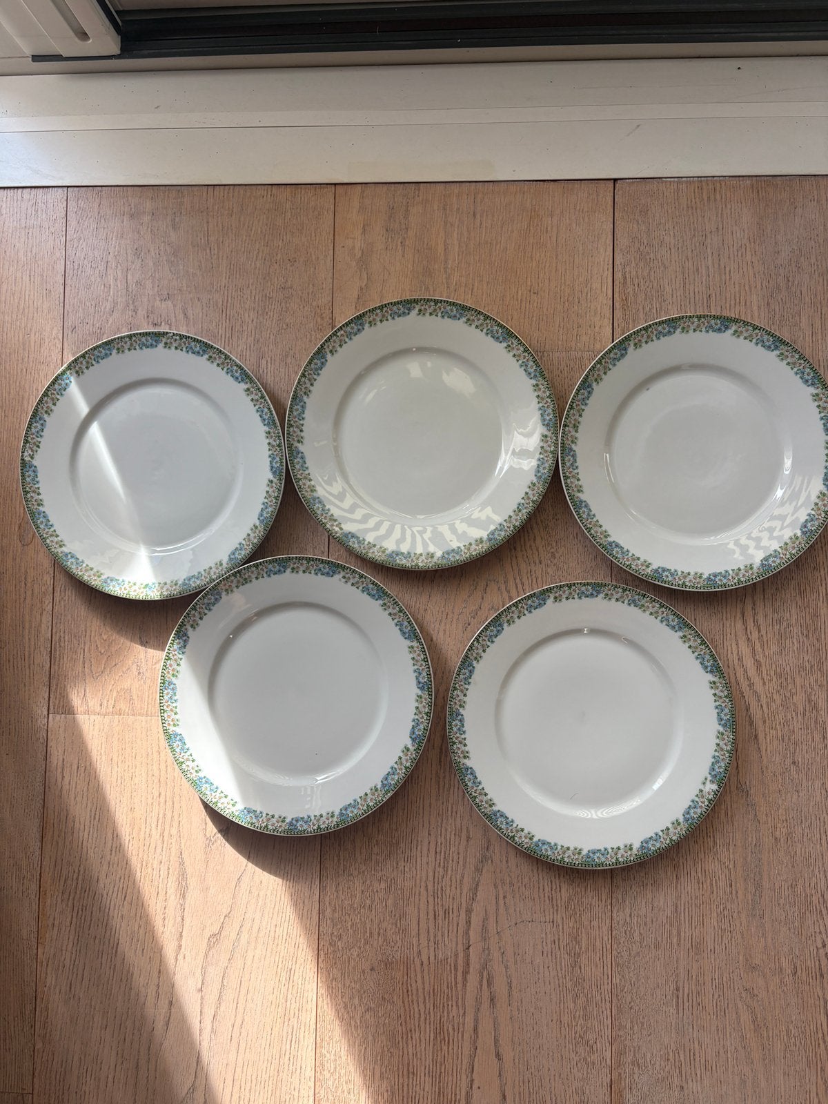 Antieke Fraureuth porselein boterhambordjes, Ophalen of Verzenden, Zo goed als nieuw, Gietijzer, Pannenset