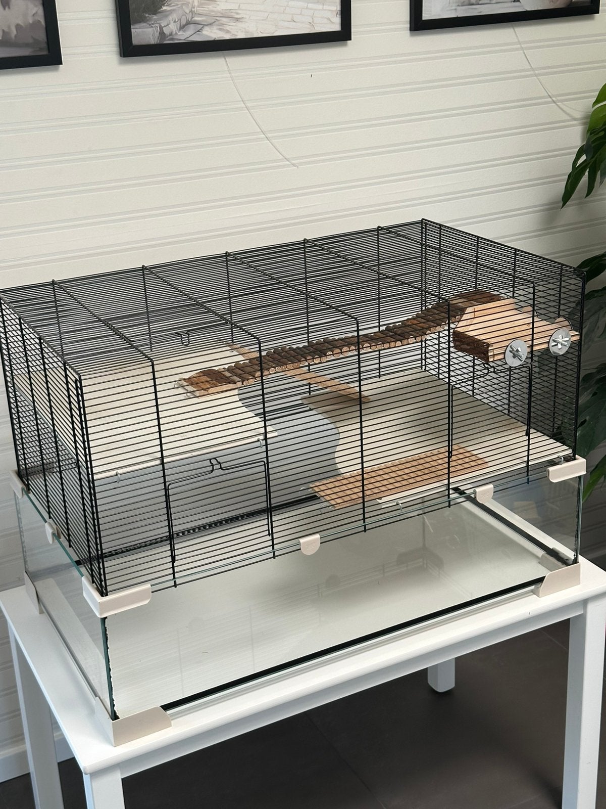 Ferplast Knaagdierenkooi Karat 80 plus accessoires, Dieren en Toebehoren, Knaagdieren en Konijnen | Hokken en Kooien, Kooi, Zo goed als nieuw