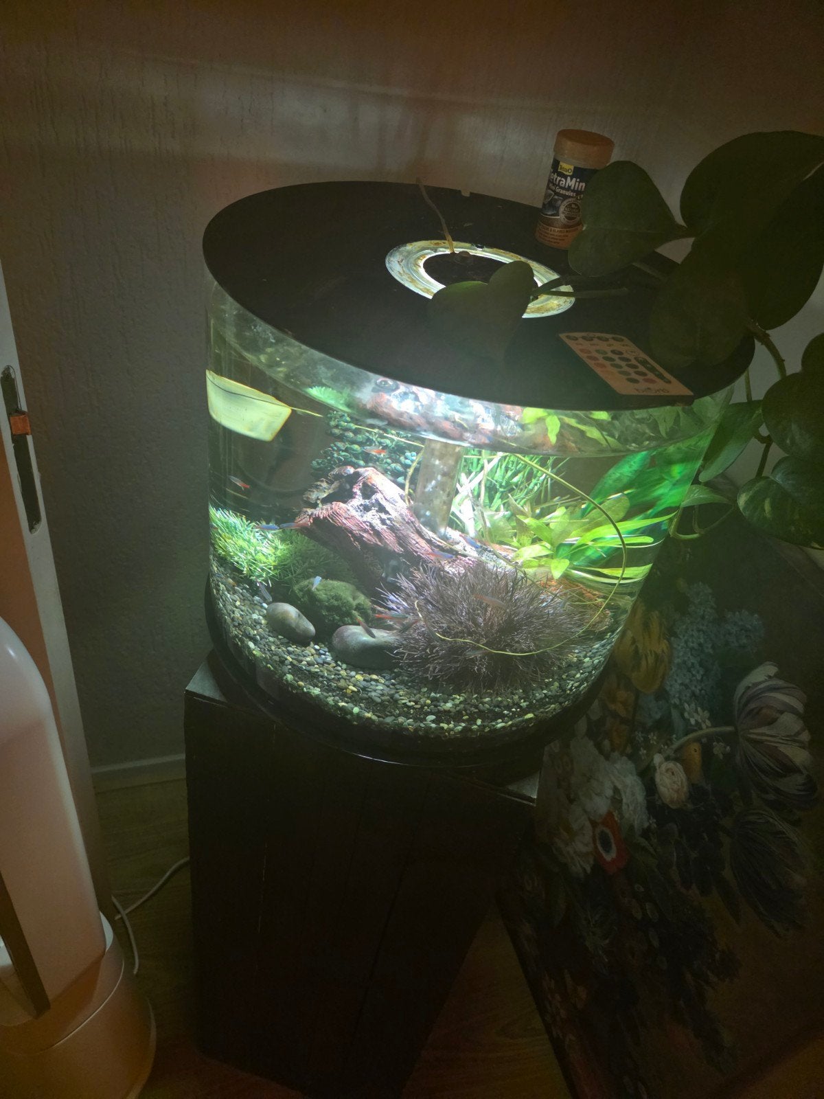 Biorb tube aquarium 40 liter, Dieren en Toebehoren, Ophalen, Zo goed als nieuw, Leeg aquarium
