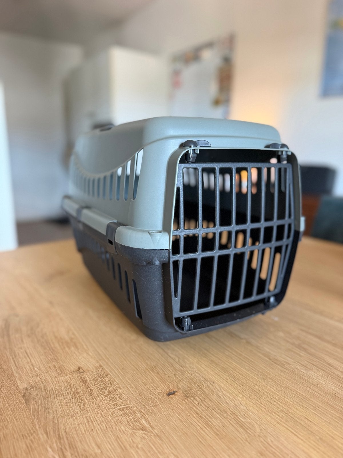 Reismandje huisdieren, Dieren en Toebehoren, Transportboxen, Ophalen, Zo goed als nieuw