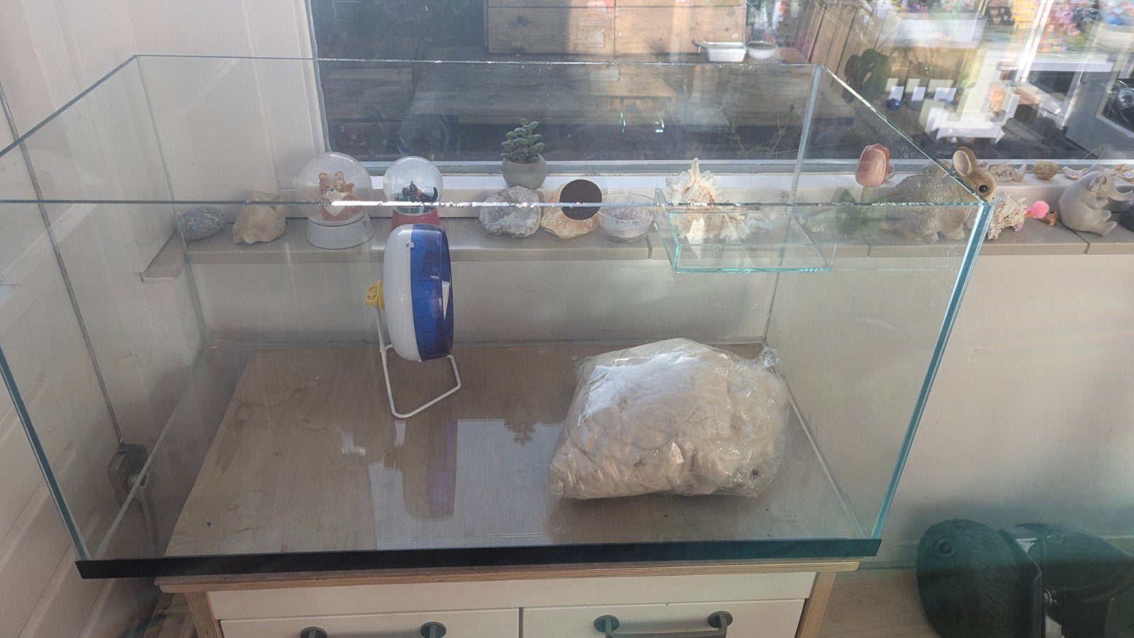 Mooi glazen terrarium / hamster terrarium, Dieren en Toebehoren, Ophalen, Gebruikt