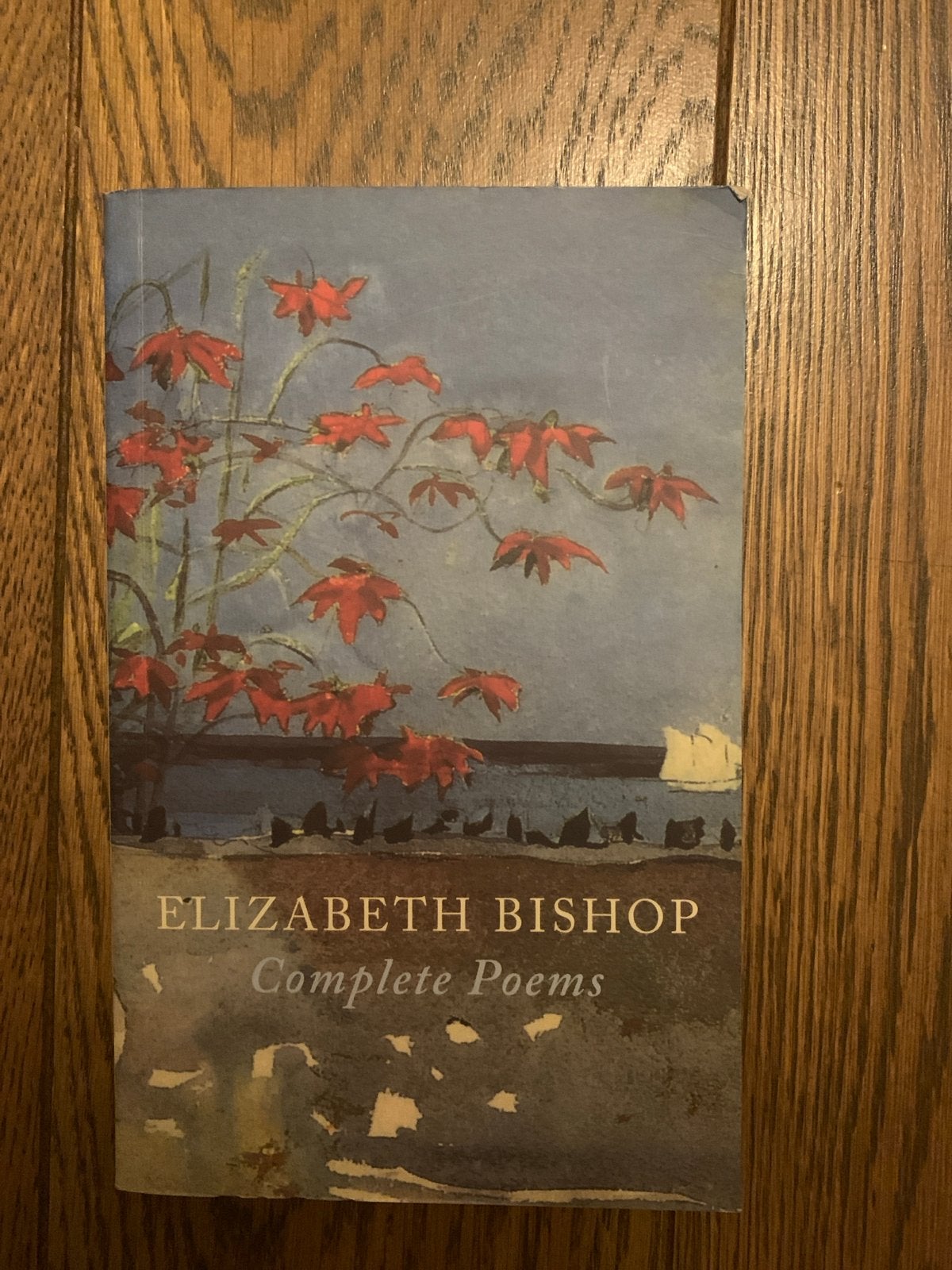 Elizabeth Bishop - Complete Poems (Engels), Ophalen of Verzenden, Zo goed als nieuw, Eén auteur