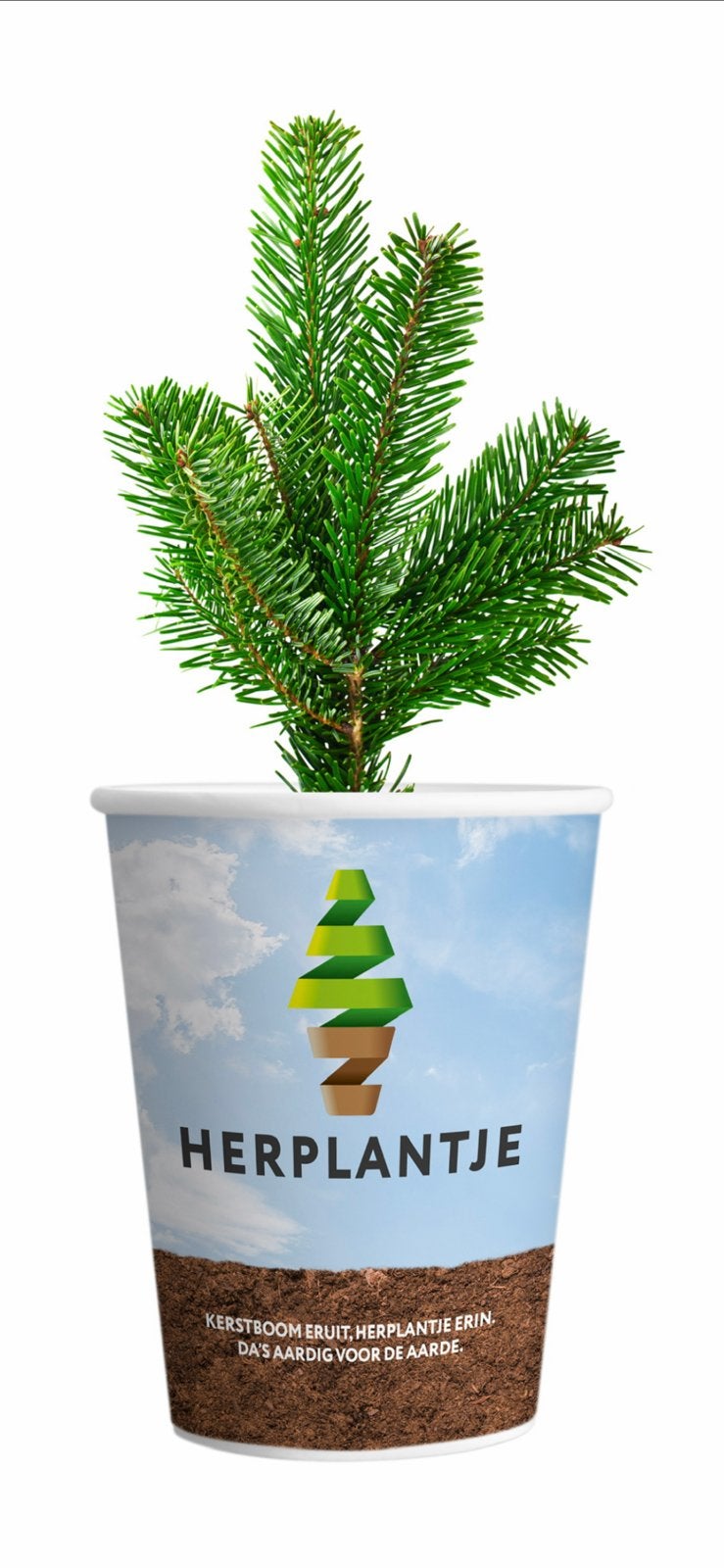 Kerstbomen  circulair. Nordmann, Tuin en Terras, Ophalen of Verzenden