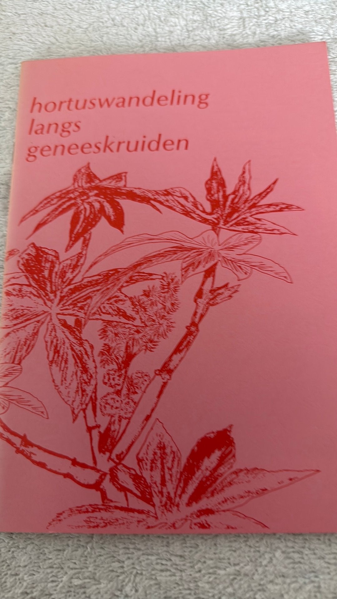 Geneeskruiden overzicht, Ophalen of Verzenden, Overige soorten, Minder dan 100 cm