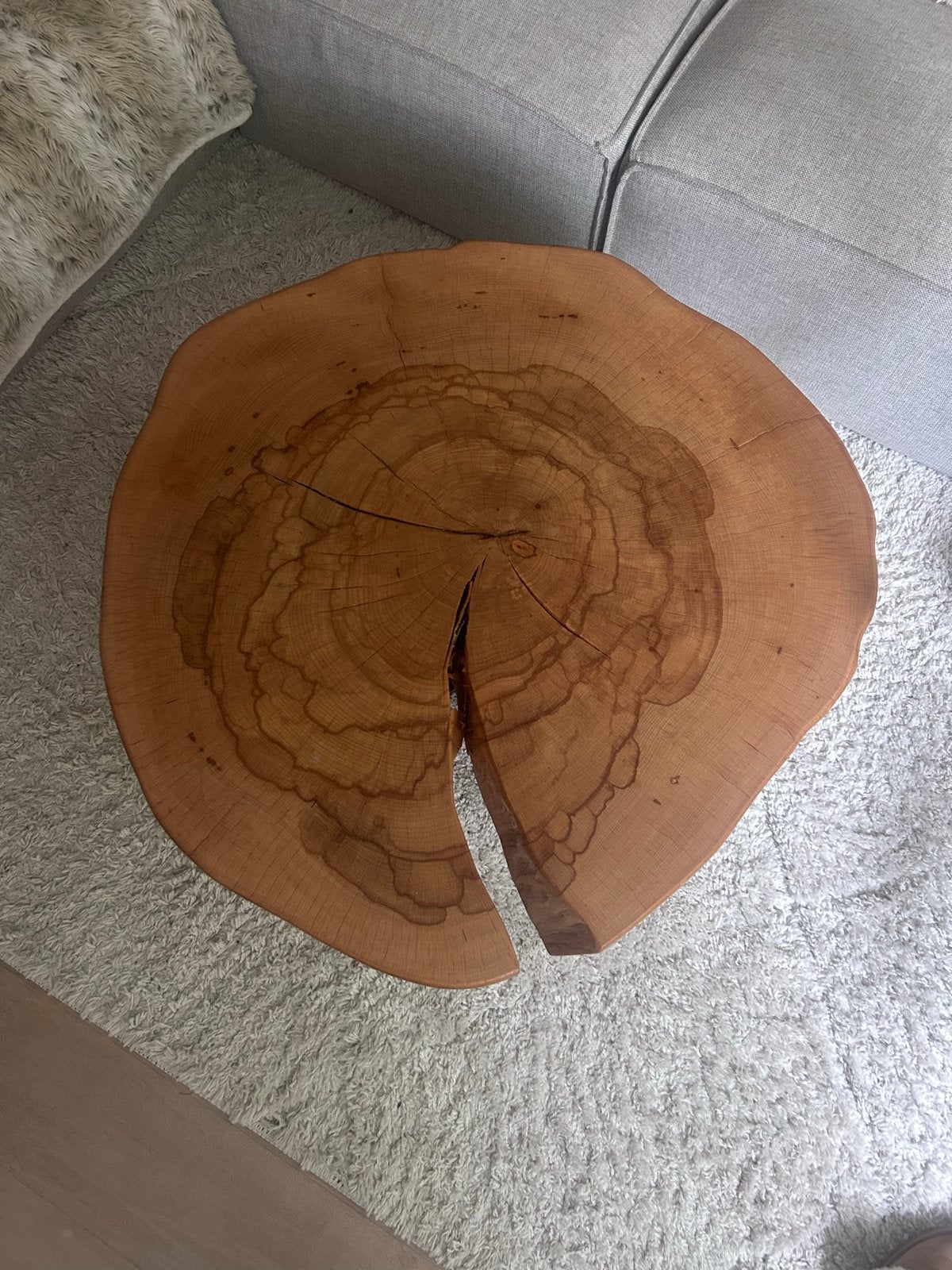 Unieke boomstam salontafel met metalen onderstel, Ophalen, Gebruikt, Rond, 50 tot 100 cm