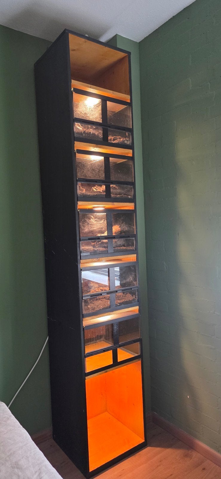 Terraria met uitneembare tussenwand incl kast en licht, Dieren en Toebehoren, Ophalen, Zo goed als nieuw, Terrarium of Paludarium