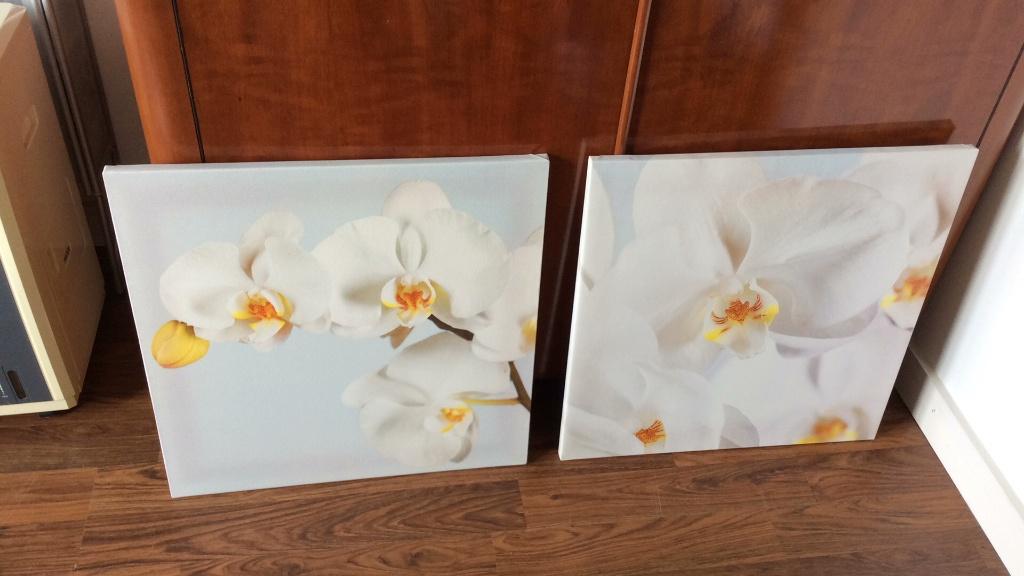 Canvas schilderijen met Orcideen , IKEA, 50 tot 75 cm, Ophalen of Verzenden, Zo goed als nieuw, Schilderij