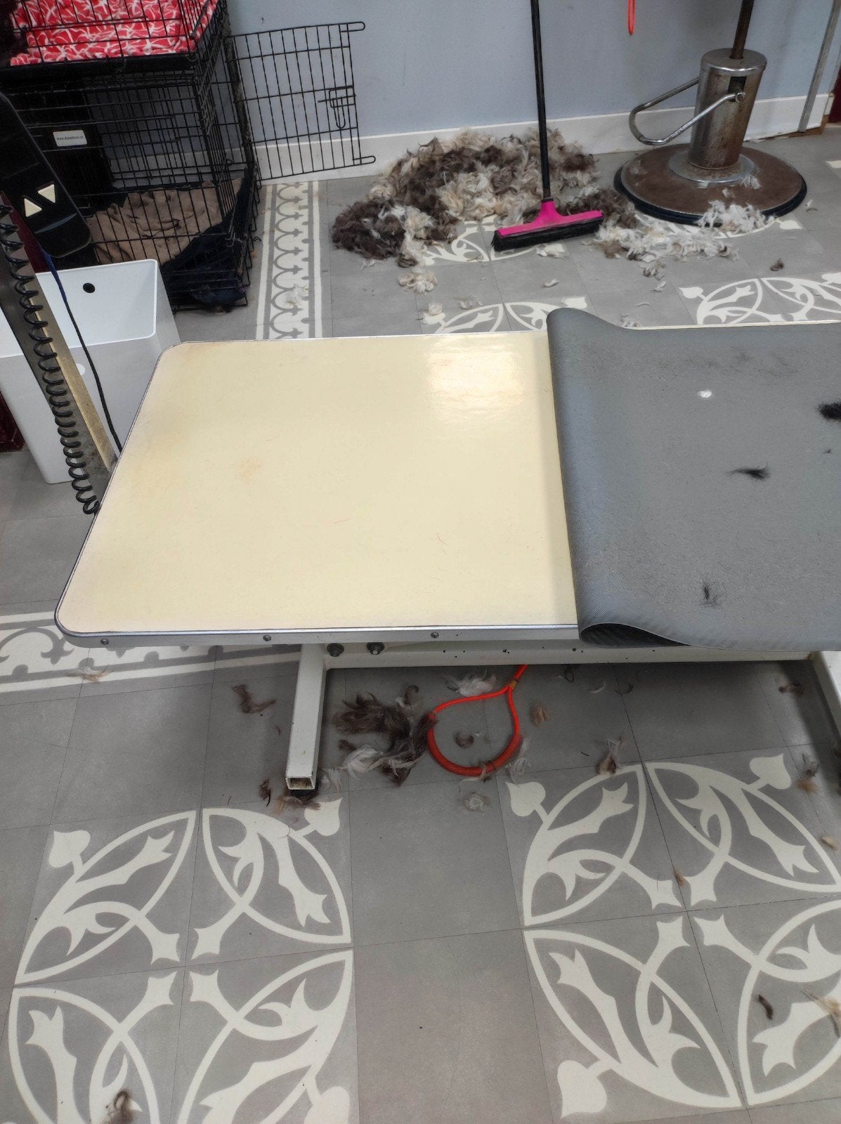 Hondentrimtafel, Dieren en Toebehoren, Ophalen