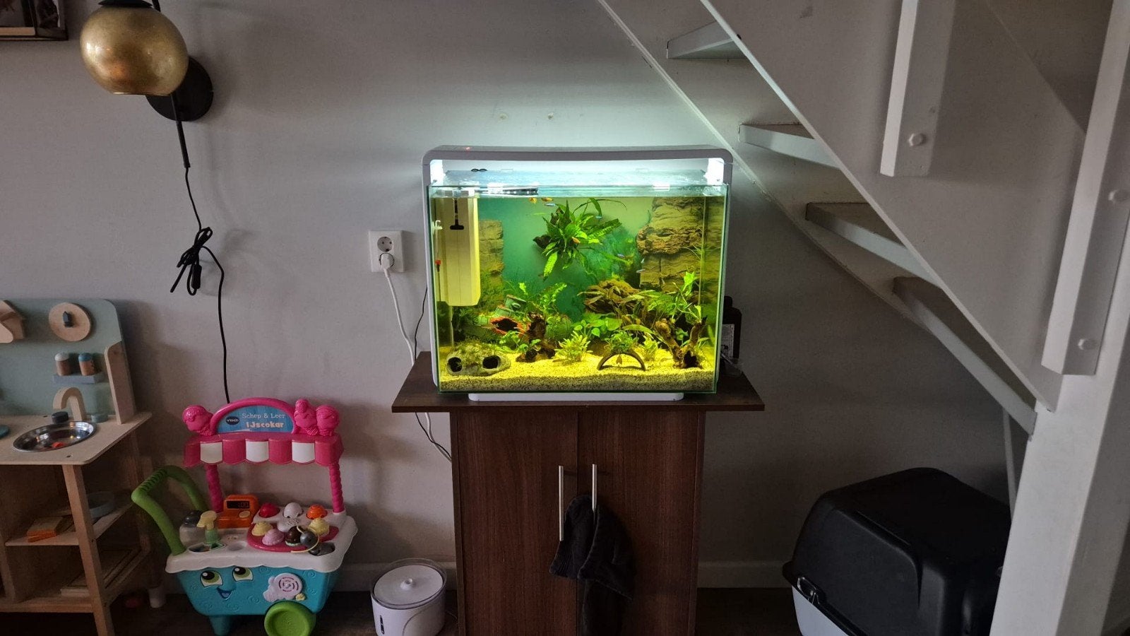 Aquarium superfish home 85, Dieren en Toebehoren, Ophalen, Zo goed als nieuw, Leeg aquarium, Superfish
