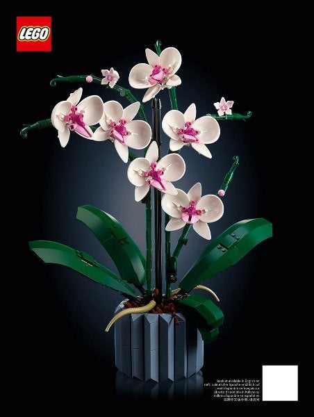 Lego | Botanicals | Orchidee | 10311, Kinderen en Baby's, Speelgoed | Duplo en Lego, Lego, Overige thema's, Lego, Nieuw