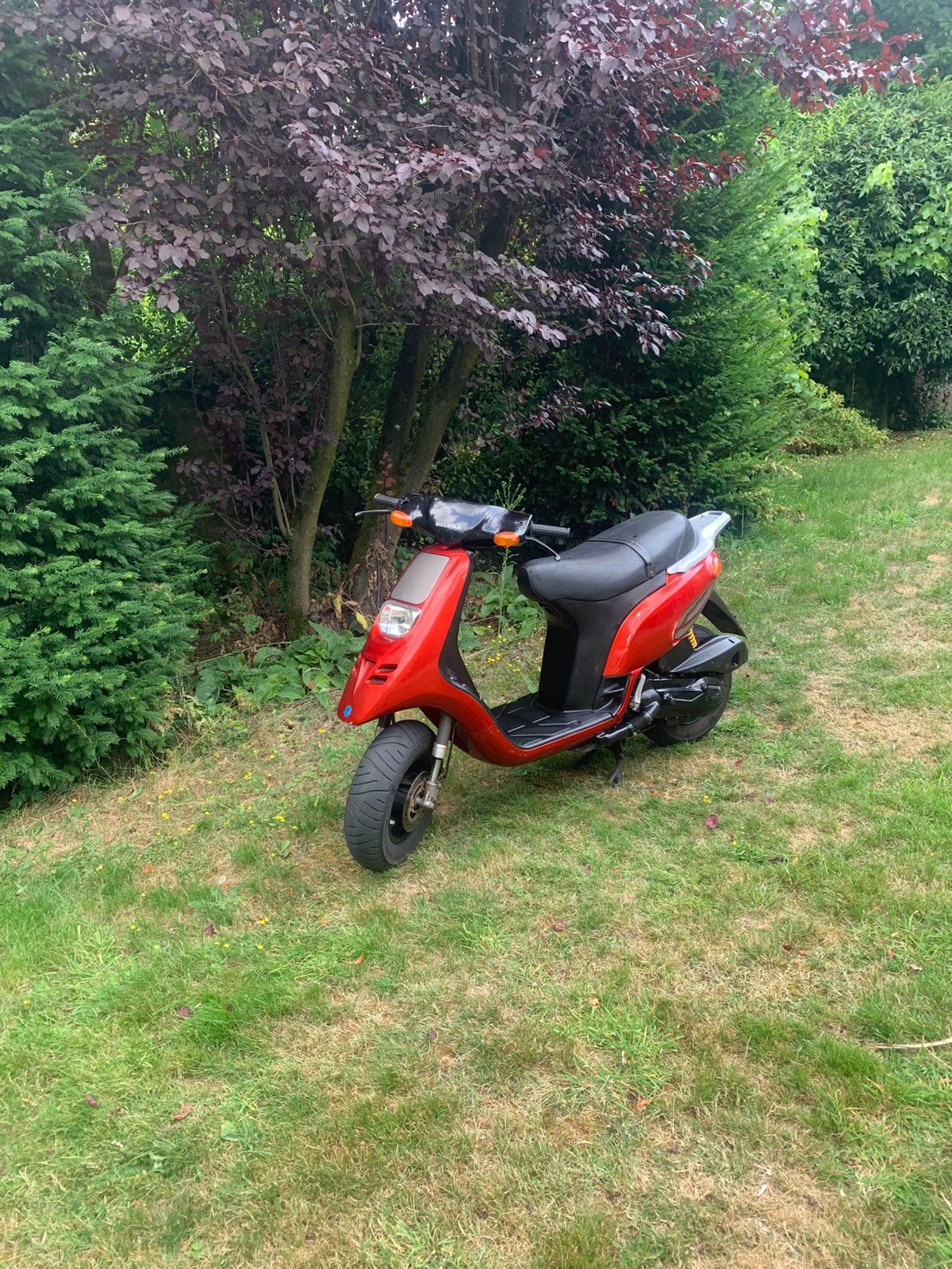 Typhoon 125cc, Fietsen en Brommers, Scooters | Piaggio, Ophalen, Zo goed als nieuw, Benzine, Zip