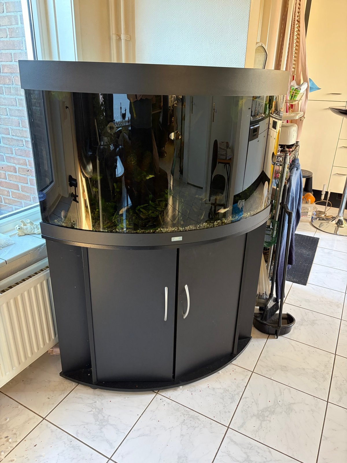 Aquarium met vissen in Rijswijk (Gelderland), Dieren en Toebehoren, Ophalen of Verzenden