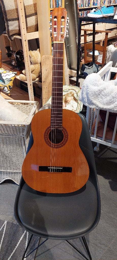 Beginners gitaar (wd30), Muziek en Instrumenten, Klassieke of Spaanse gitaar, Gebruikt, Ophalen of Verzenden, Nvt