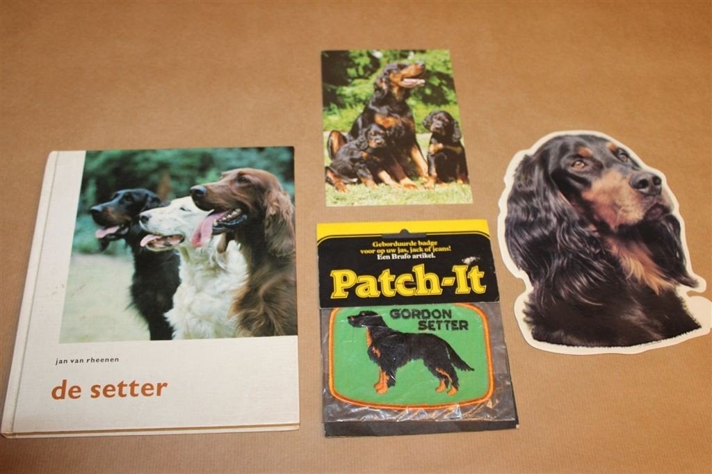 De Setter — Rasmonografie, Iers en Engels 1974, Ophalen of Verzenden, Gelezen, Honden