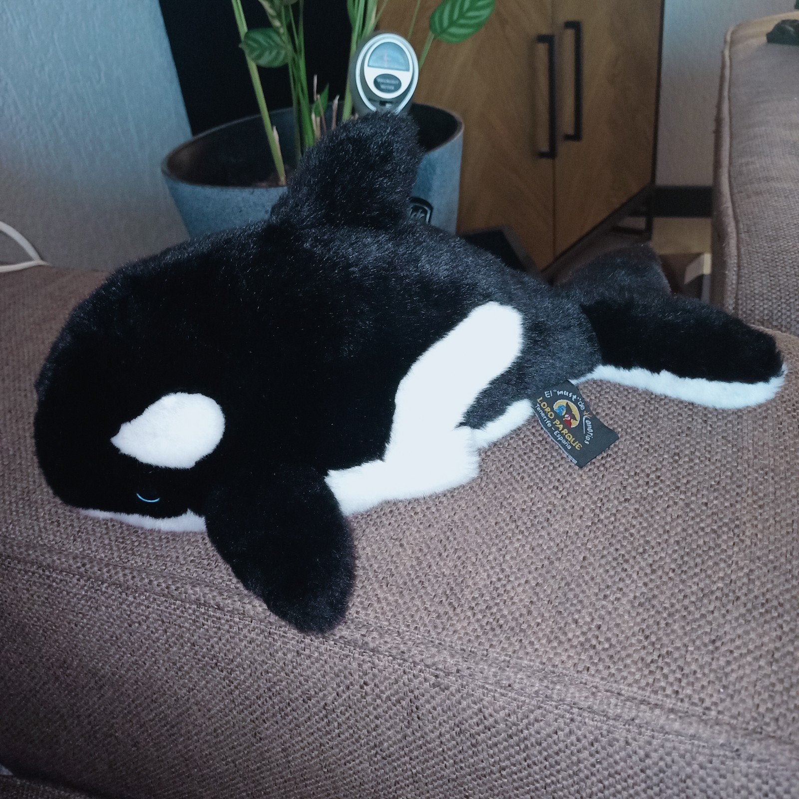 Orka, orca, loro parque, tenerife, handpop., Overige merken, Overige typen, Zwart, Ophalen of Verzenden