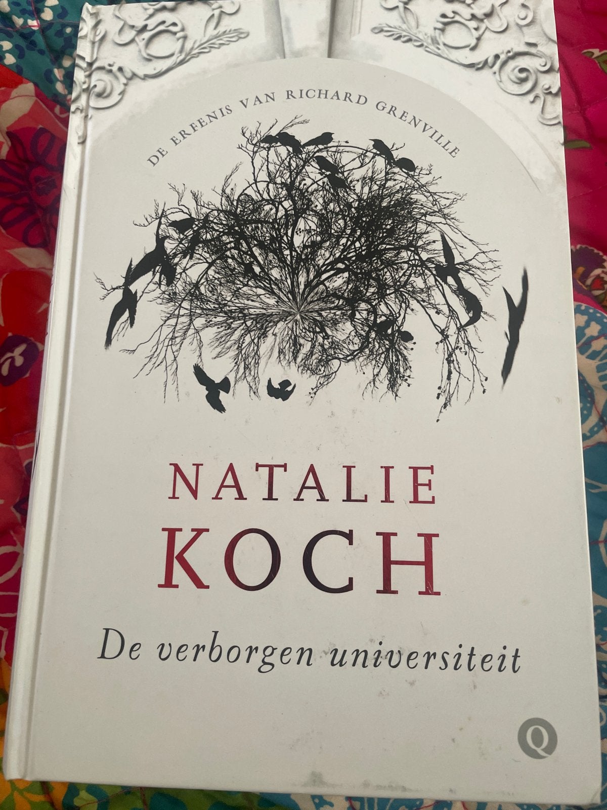 De Verborgen Universiteit - Natalie Koch, Ophalen of Verzenden, Gelezen