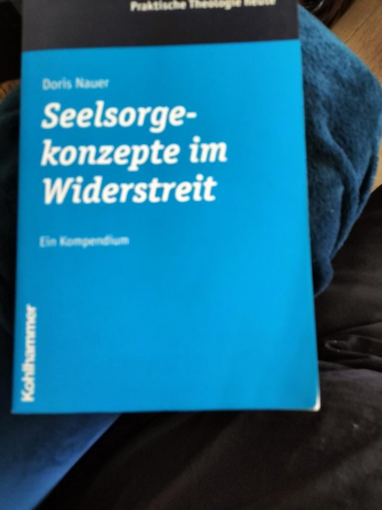 Seelsorgekonzepte im Widerstreit - Doris Nauer, Boeken, Verzenden, Gelezen, Doris Nauer, Christendom | Katholiek