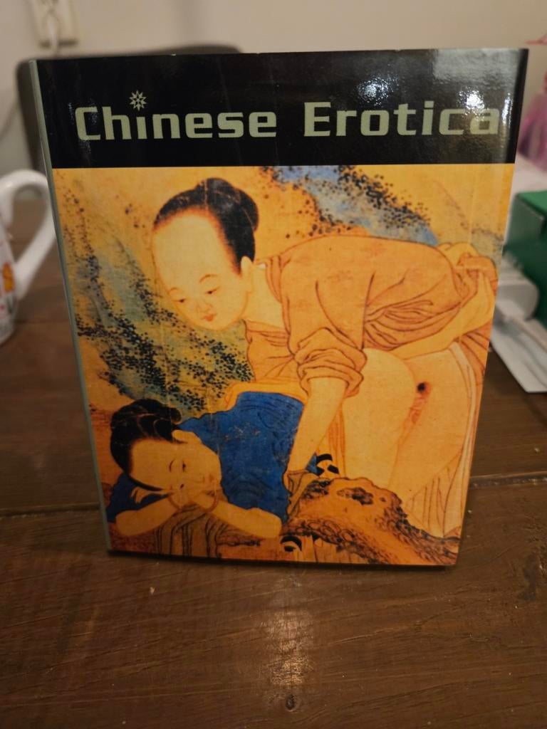 Chinese Erotica - Boek over Chinese erotische kunst, Ophalen of Verzenden